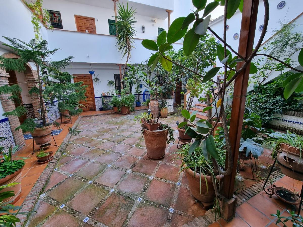 Apartamento De Estreno En Los Patios Tipicos De San Basilio Córdoba Eksteriør bilde